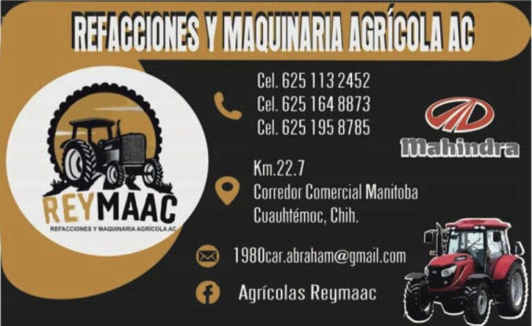 Imagen 05 12 25 a las 12.32 p.m 1 768x470